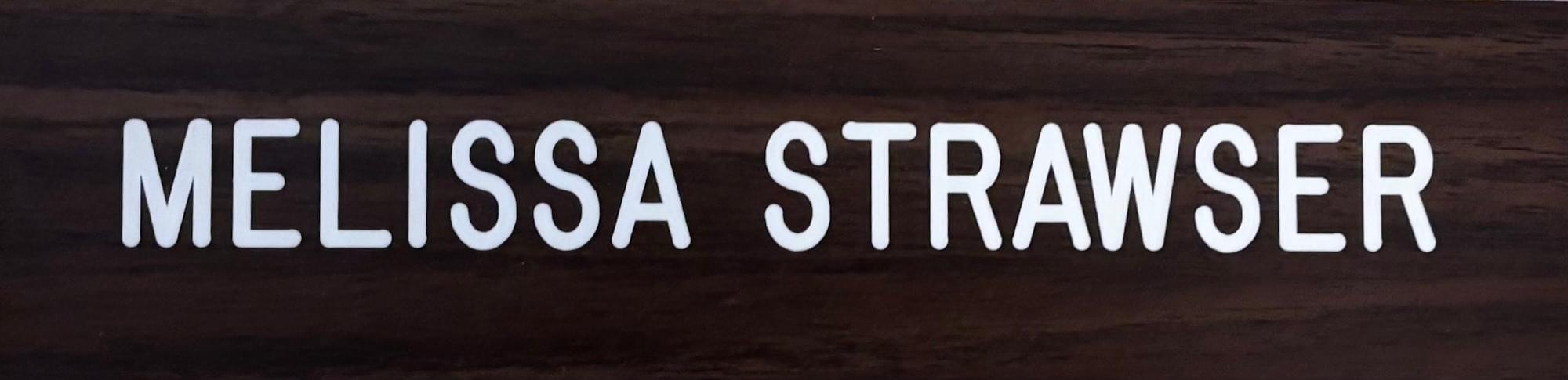 Melissa Strawser, Folk-Fine Artist, Pennsylvania Artist